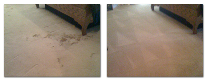 Swift Dry Carpet Cleaning in Longwood and Orlando Florida - Pet Stain & Odor Service - Before & After
