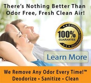 odor removal solutions - orlando, Fl