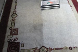 area rug cleaning - orlando - longwood
